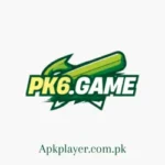 PK6 Game